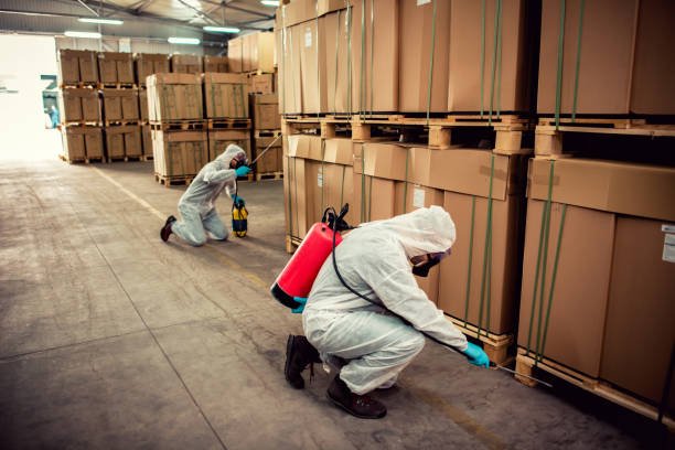 Best Flea Control Services  in Summit, NJ