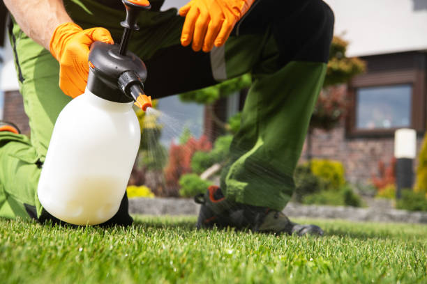 Reliable Summit, NJ Pest Control Solutions