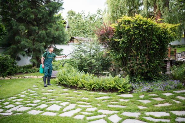 Best Affordable Pest Control Services  in Summit, NJ